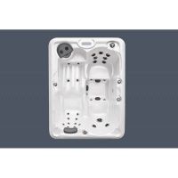 Спа бассейн Treesse Dubai Спа бассейн Treesse Dubai